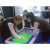 Интерактивный стол Smart Table ST442i