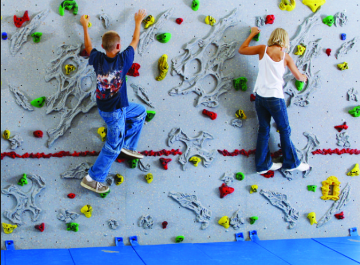 Интерактивная поверхность для скалолазания Everlast Climbing Wall арт. ExR23603