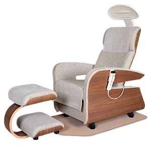 Hakuju Healthtron JZ арт. 8336