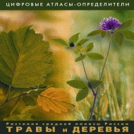 Цифровые атласы-определители растений средней полосы России. Травы. Деревья арт. RN9996