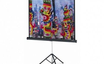 Экран на штативе 150x150 см Professional Type D Medium арт. RN17038