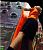Интерактивная поверхность для скалолазания Climbing Wall Trailblazer арт. ExR23598